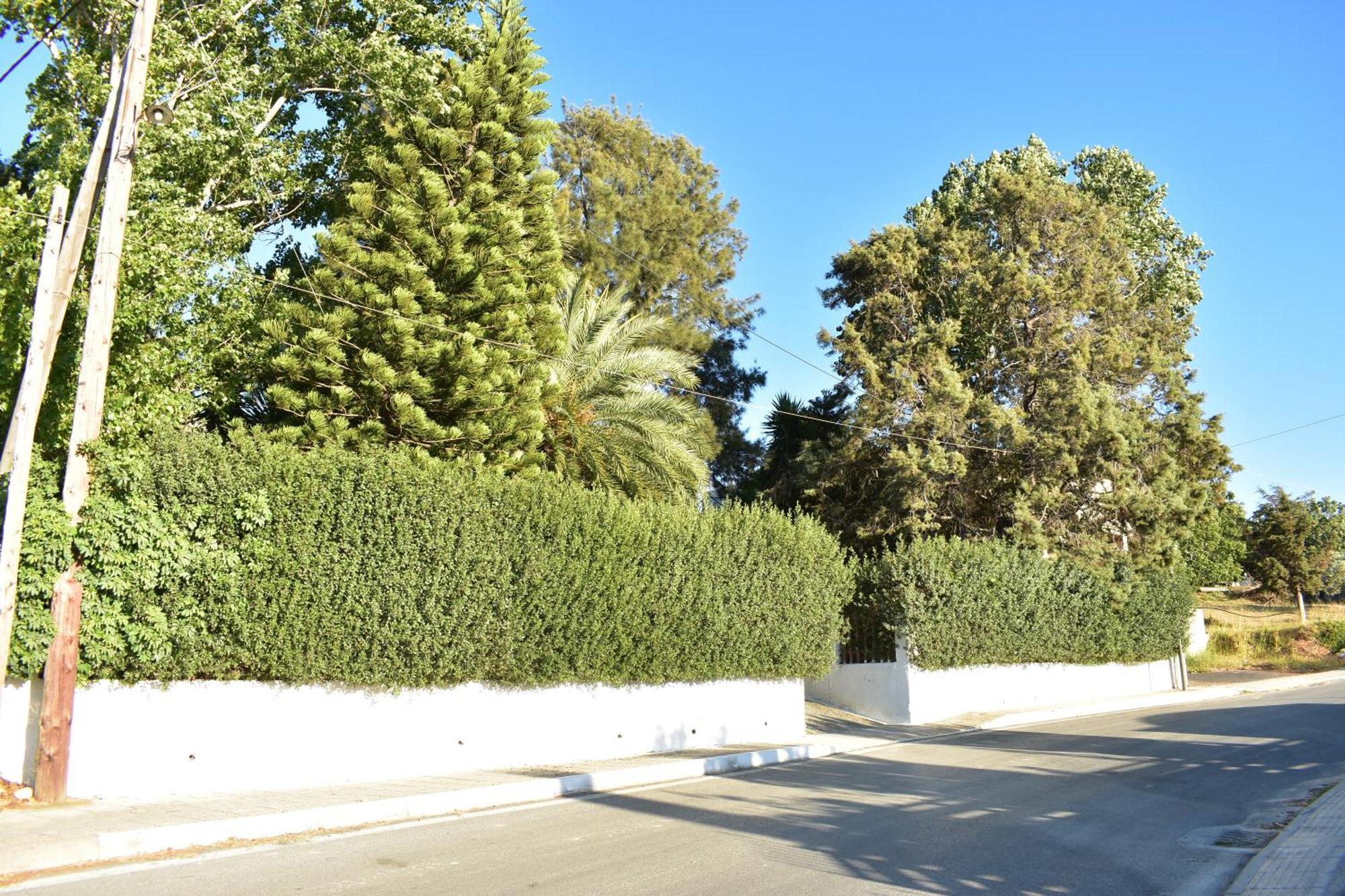 νιrαsτεrο - The House In The Trees Villa *